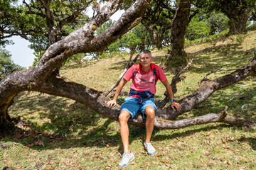 Happy man seated on a tree trunk in the Fanal Forest, Madeira