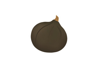 Blue gourd squash isolated on a white background. Autumn illustration