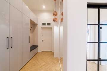 Modern interior design of the house with a corridor in white color and a wardrobe - obrazy, fototapety, plakaty
