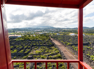 Insel Pico - Azoren: Blick von der Windmühle auf die Weingärten bei Madalena - UNESCO Welterbe - obrazy, fototapety, plakaty