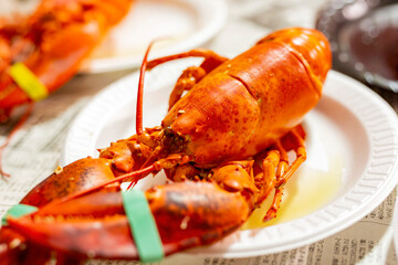 Close up shot of steamed lobster