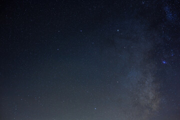 Night starry night at Joshua Tree National Park