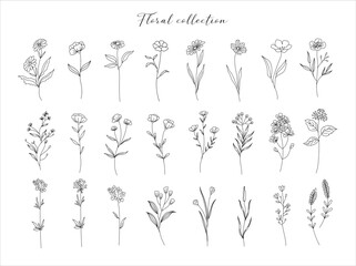 Set of cute trendy hand drawn flowers, branches, leaves. Vector line arrangements for stories highlights, greeting card or invitation and logo design