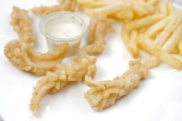 Fish fillet , chips and potato mash on table 