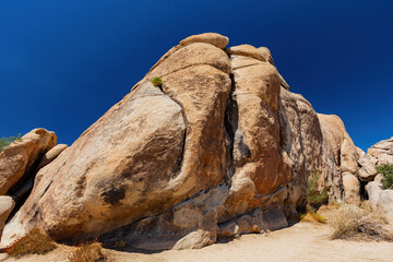 Landscape in Joshua Tree National Park