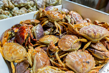 Close up shot of Many fresh crab