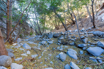 Sunny view of the beautiful Switzer Falls Trail