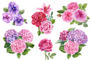 Bouquet with Roses, hydrangea, lily isolated white background, watercolor botanical painting. Set pink flowers