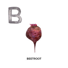 Watercolor letter B with beet illustration. English ABC, alphabet with beetroot vegetable illustration