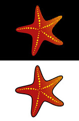 Starfish vector illustration. Marine icon in cartoon style: print, pattern, design element. Vector graphics. Isolated on black and white background.