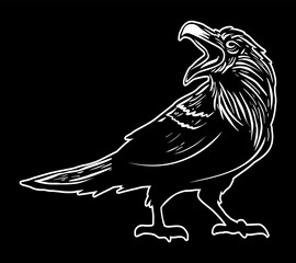 Black raven, crow vector linear illustration. Isolated on black background.