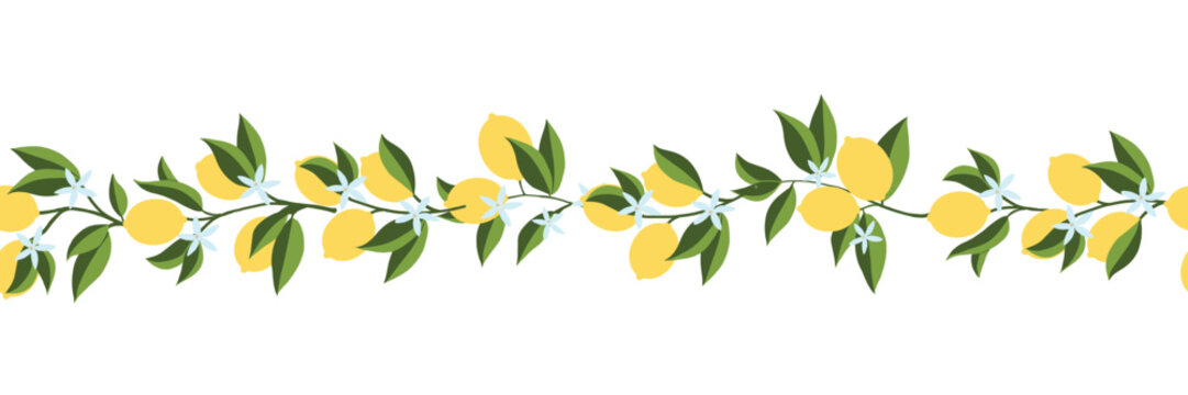 Horizontal Seamless pattern of lemons branch. Floral print. Sketch Exotic tropical citrus fresh fruit, hand drawn lemon with leaves and flowers. Vector cartoon minimalistic style illustration.