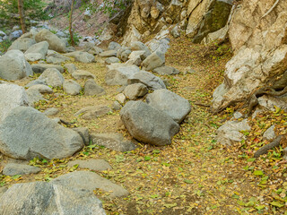 Sunny view of the beautiful Switzer Falls Trail
