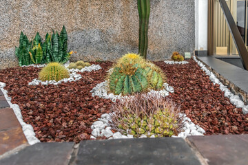 Decorative flowerbed with different cacti growing among volcanic stones in Santa Cruz de Tenerife,...