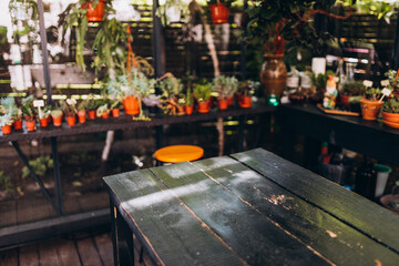 Empty Diner table in dining room. Potted plants placed at a coffee shop. Rustic wooden table with a view of restaurant backdrop, for mock up