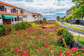 Fototapeta na wymiar Santa Cruz, Madeira. Canal full of flowers near the sea, view from Sao Fernando Street