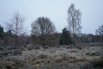Views over frosty countryside in winter