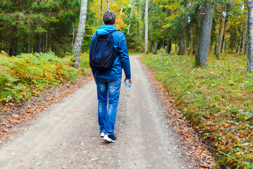 A middle age male hiking with a backpack.Man walks along the autumn forest path way.A healthy lifestyle in nature.