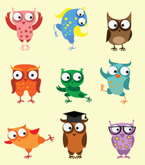 Fototapeta premium Vector illustrations set of cute different owl birds in the simple style