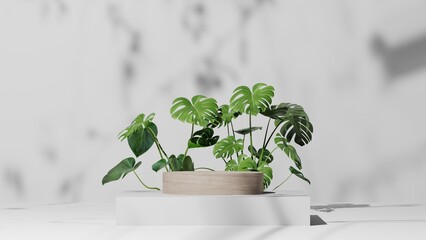 natural wood pedestal podium mockup with tropical leaf, plant, and branch shadow Backdrop, Empty platform for beauty product showcase and presentation. 3D Rendering