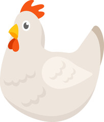 Sitting white hen flat illustration
