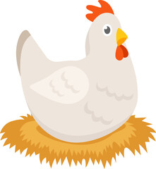 Hen sitting on straw nest