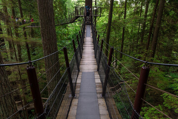 Fototapeta premium Hanging bridges inside Capilano Suspension Bridge Park, Vancouver, British Columbia, Canada.