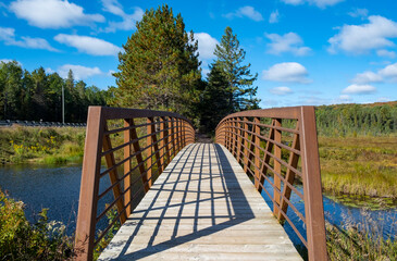 Bruce Bog Trail, Algonquin Park, Ontario, Canada