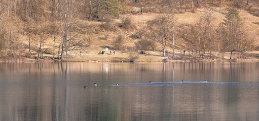 Hiking around the happurger reservoir in Hersbruck