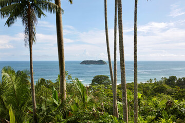 Panoramic view of tropical island and palm trees