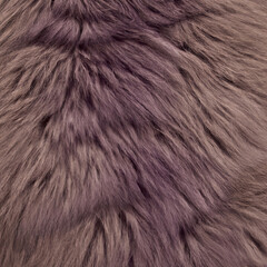 fur texture background