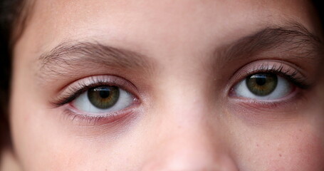 Fototapeta premium Child green eyes macro close-up. Girl face looking at camera