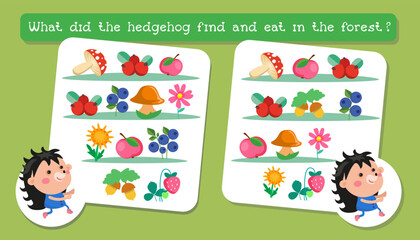 Fototapeta premium Educational game for children. Find the differences. Activities for children. Vector illustration. Hedgehog and food. 