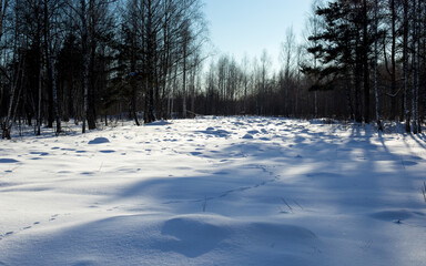 Path and footprints in the winter forest