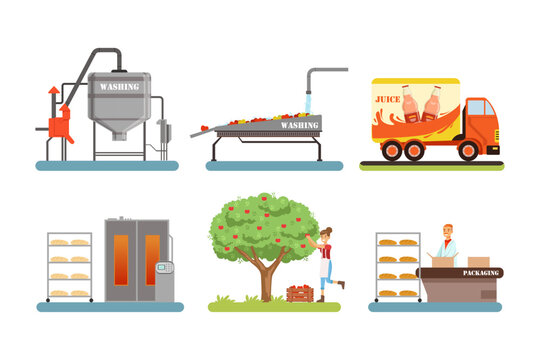Juice production set. Fruit harvesting, transportation, packaging cartoon vector illustration