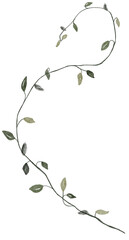 Watercolor winter abstract delicate twig illustration. Fragile Christmas botanical floral branch leaf