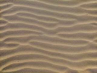 ripples in the sand