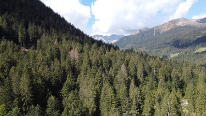 Val Brenta. In questa meravigliosa e piccola valle si ode il richiamo della Natura 