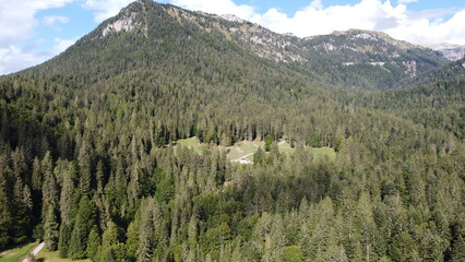 Val Brenta. In questa meravigliosa e piccola valle si ode il richiamo della Natura 