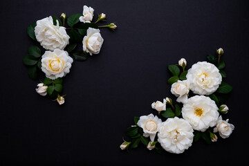 Lots of White Roses on Black Background