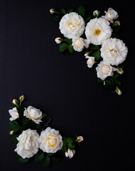 Naklejka na ściany i meble Lots of White Roses on Black Background