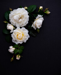 Lots of White Roses on Black Background