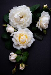 Lots of White Roses on Black Background