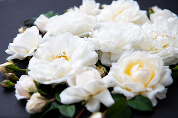 Lots of White Roses on Black Background