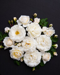 Lots of White Roses on Black Background