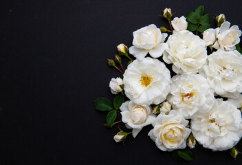 Obraz na płótnie Canvas Lots of White Roses on Black Background