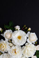 Lots of White Roses on Black Background