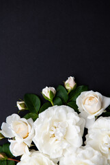 Lots of White Roses on Black Background