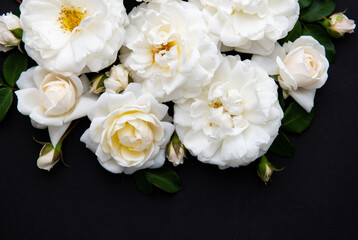 Obraz na płótnie Canvas Lots of White Roses on Black Background