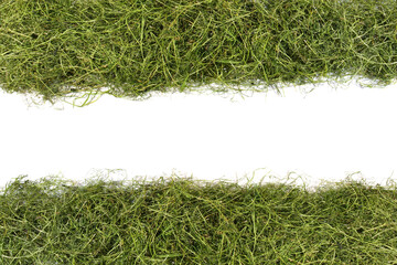 Fresh Dry Grass - Hay Banner, isolated Panorama on white Background